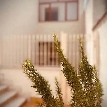 Aeffe Domus Ferienhaus *